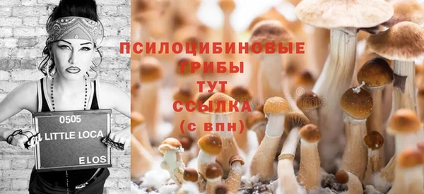твердый Алексеевка