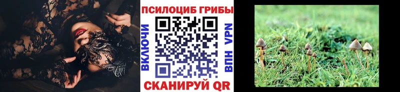 Галлюциногенные грибы GOLDEN TEACHER Сасово